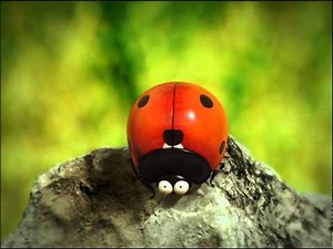 Minuscule S01E03 Love Story