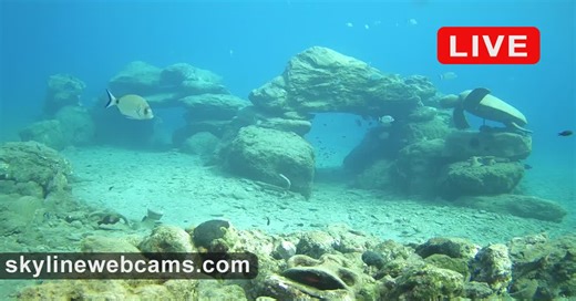 Time-lapse Underwater cam in Karavostasi - Crete