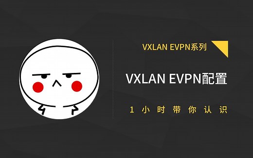VXLAN EVPN分布式网关配置（2）