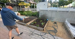 Denver Urban Gardens slows plans for expansion following federal cuts