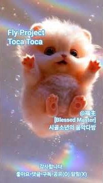🎵 [Shots] Fly Project - Toca Toca ‪@福主‬ #음악다방 #복주 #힐링 #FlyProject #Toca Toca ‪@FlyOficial‬