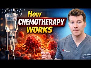 How Chemotherapy Works | Doctor Explains