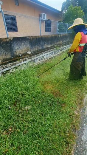 Grass Cutting ASMR Experience#grasscutting, #asmr, #satisfying, #lawncare, #oddlysatisfying@𝐺𝑟𝑎𝑠𝑠 𝑐𝑢𝑡𝑡𝑖𝑛𝑔 @𝑮𝑹𝑨𝑺𝑺 𝑪𝑼𝑻𝑻𝑰𝑵𝑮 @Dj Samir