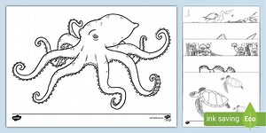 Great Barrier Reef Colouring Pages