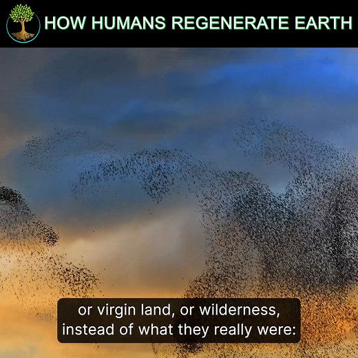 537K views · 695 reactions | Imagine a world where deserts bloom into...