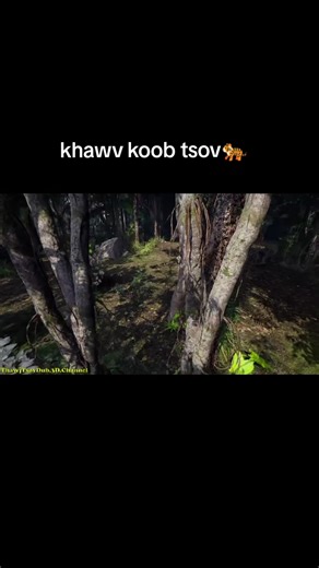 nam hmoob dab neeg hmoob 3d