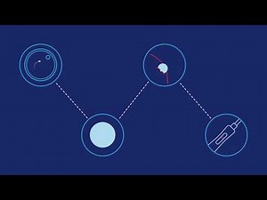 Cómo sucede un embarazo | Planned Parenthood Video