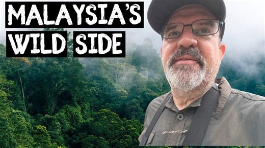 Why Malaysian Borneo Keeps Calling: A Journey of Return and Rediscovery