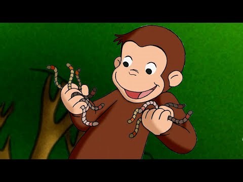 Domek dla dżdżownic! | Ciekawski George | Bajki Po Polsku