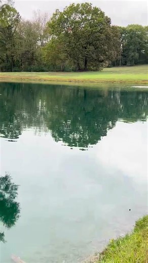 Fall reflections and a little bit of aeration magic happening just below the surface. 🍂💧 #AquaticControl #LakeManagement #LakeLife #PondManagement #PondLife #Aeration #LakesideLegends #FreeConsultation #PondAeration | Aquatic Control, Inc.