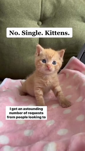 384K views · 7K reactions | A video I’ve been meaning to make for a...