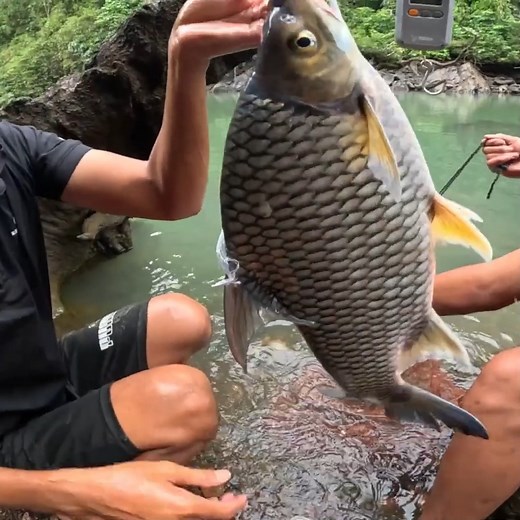 1.9M views · 31K reactions | Trúng mánh rồi cả nhà 1 con cá bự là 1 bữa ăn no cho team Sang #sinhton #SANGVLOG | Sang Vlog | Facebook