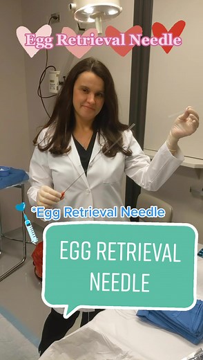 Egg Retrieval Day: Understanding IVF and Fertility Journey