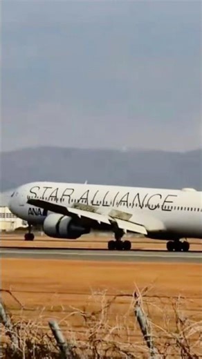 🔴ANAスターアライアンスBoeing 767-300ER特別塗装機