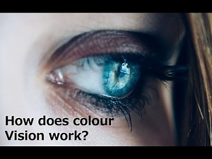 How does colour vision work?