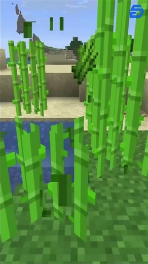How to get Paper in Minecraft