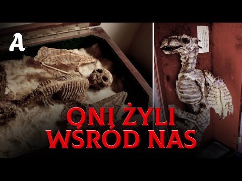 Kolekcja Merrylin: Stwory Odrzucone Przez Oficjalną Historię