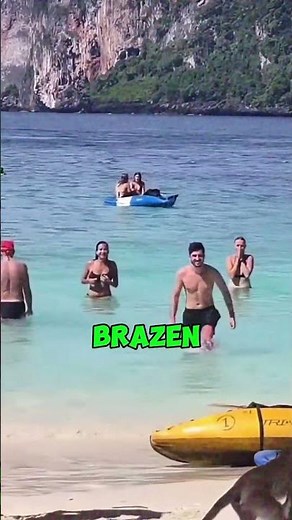 When Monkeys Steal from Tourists