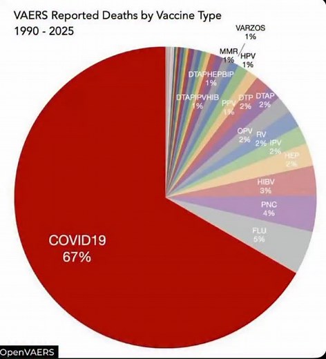 This chart looks at reported deaths by vaccine type from 1990 to 2025. 67 percent of reported deaths were after COVID-19 vaccination! The remaining 33 percent were spread across all other vaccines combined, including flu, hepatitis, HPV, and MMR. In 2020, I was one of the only people in the health space who utilized all of our platforms to issue a warning. I had 27 year PhD from the presidential task force, Dr. Rashid Buttar (who is now dead), Dr. Reiner Fuellmich (who is suing the CDC), and Dr.
