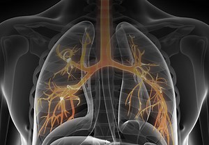 Monitoring Control in Asthma: Do Biomarkers Play a Role, and How Can Asthma Management Plans Help?