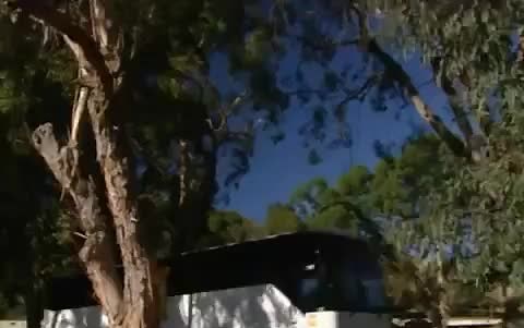 The Biggest Loser Season 7