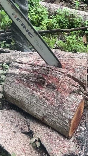 How I Cut Firewood Fast with a Chainsaw!