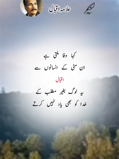 Kaha Wafa Milti Ha #UrduPoetry #allamaiqbal #austhestic #fyp #viral