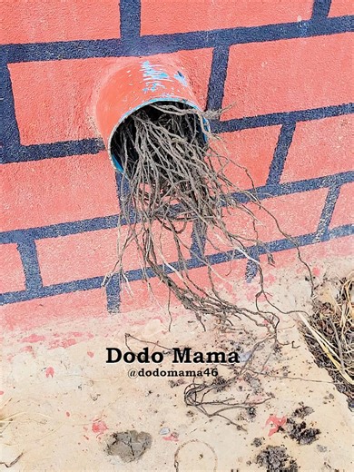 Extreme Pipe Clearing Techniques for Stress-Free Results