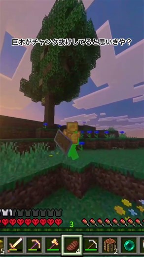 【Minecraft】これ見たことある人いる？