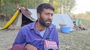 33K views · 331 reactions | SINGHARA Water Caltrop or Water Chestnut...