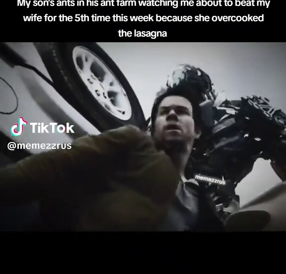 Ant Farm Antics: A Meme on Domestic Mishaps