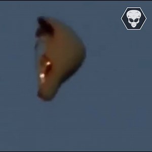 Some of these look 100% real and it's hard not to believe. What do you think? | Alien Files