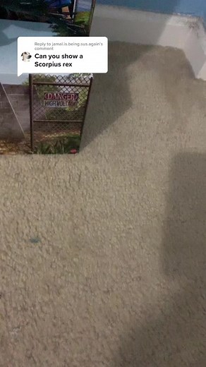 Unveiling the Majestic Scorpius Rex Dinosaur Figure