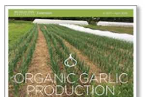 Organic Garlic Production - E3371