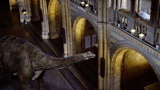 David Attenborough Befriends a Dinosaur | Nature