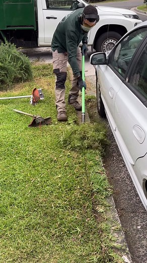How to Trim Overgrown Edges with a Stihl Edger