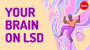 How do psychedelic drugs like LSD affect your brain? And can they actually be medicinal? Dig into the science of psychedelics: | TED-Ed