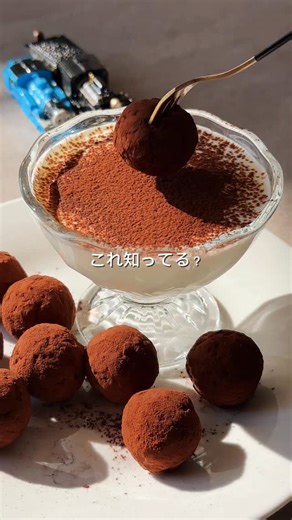 まりりか ⢣-15kgキープ🤍ヘルシーレシピ on Instagram: "レシピここだよ𓎩 他の投稿はこちら⇨@maririka_diet_recipe 映え&ヘルシー 「ティラミスボール」 ꪔ̤̮ˊˎ 食物繊維たっぷり✨ ꪔ̤̮ˊˎ 高たんぱく💪🏼 ꪔ̤̮ˊˎ 腸活にも！ 海外のレシピってなんか魅力的だよね😍 やっぱり見た目が映えるとテンション上がるから、たまにはちょっとだけ手をかけて自分のご機嫌とっていこうね🥰 ⌒⌒⌒⌒⌒⌒⌒⌒⌒⌒⌒⌒⌒⌒⌒⌒⌒⌒⌒ 〔材料〕 ・バナナ… 1本 ・オートミール… 35g ・インスタントコーヒー… 小さじ1 ・お湯… 小さじ1 ・パルテノ… 1個(100g) ・クリームチーズ… 1個 ・はちみつ… 大さじ1 ・ココアパウダー… 適量 〔作り方〕 下準備:クリームチーズを常温に戻しておく(もしくは5秒前後レンチンして柔らかくする) ①バナナをよくつぶし、オートミールを入れまぜてなじませる ②インスタントコーヒーをお湯によく溶かして①に加えよくまぜる ※生地がゆるかったらオートミールを少し足して調整してね！ ※時間があったら冷蔵庫で冷やすと