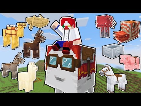 乗れるもの、全部乗るまで終われない【マイクラ・マインクラフト】