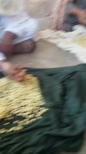 Sorting Grains: Traditional Methods in Outdoor Settings