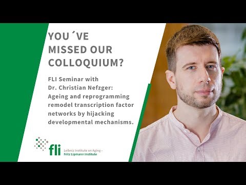 FLI Kolloquium with Dr. Christian Nefzger