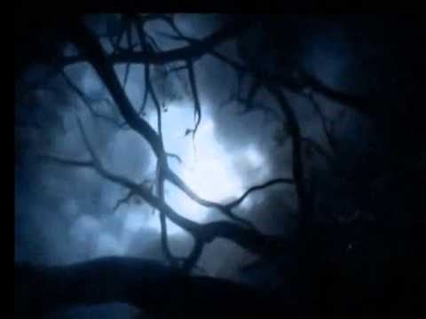 HALLOWEEN MOVIE LOOP