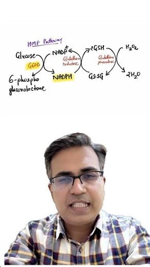G6PD deficiency | Why only RBCs get affected in G6PD deficiency? | #biochemistry #mbbs #neetpg