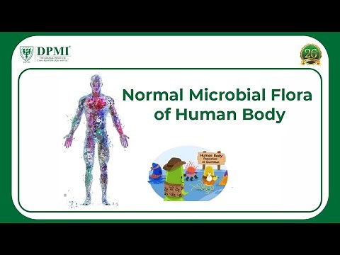 Normal Microbial Flora of Human Body: Types And Role Of Microbial Flora? What Affects Normal Flora?