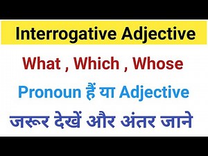 Interrogative Adjective / Interrogative Adjective in English Grammar