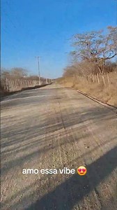 #nordeste #roça #sertão #paisagemnatural #ishorts