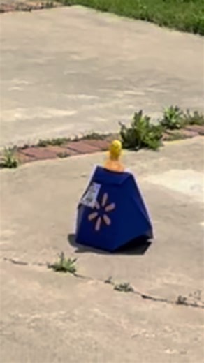 Houston, we have Nutella. | nutella peanut butter