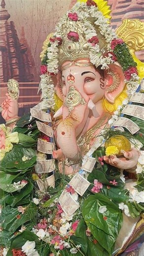 #bappa #bappamorya #viral #ganesh #ganeshchaturthi #shorts #ytshorts #youtube #shortsfeed #hindugod🙇