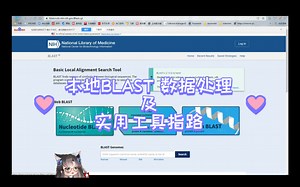 本地blast 数据处理 及 数据库（酶切位点 活性肽段）实用工具指路/Iris的科研日常