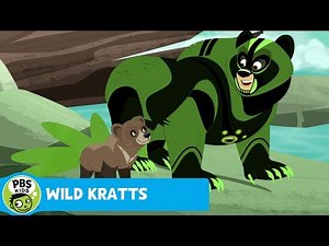 WILD KRATTS | Fishing | PBS KIDS